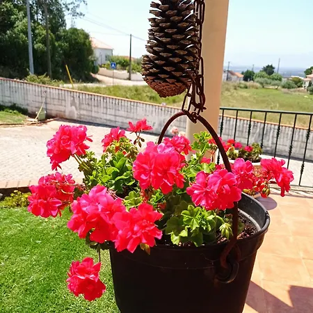 Chez Sylvie Et Alain Frühstückspension Lamas